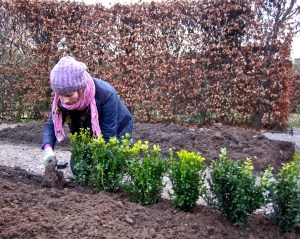 Planting box, Winterbourne House and Garden, Digging for Dirt
