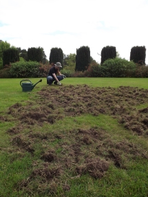 Lawns damaged by badgers, Winterbourne House and Garden, Digging for Dirt